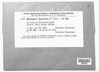 Image Associated With the Occurence